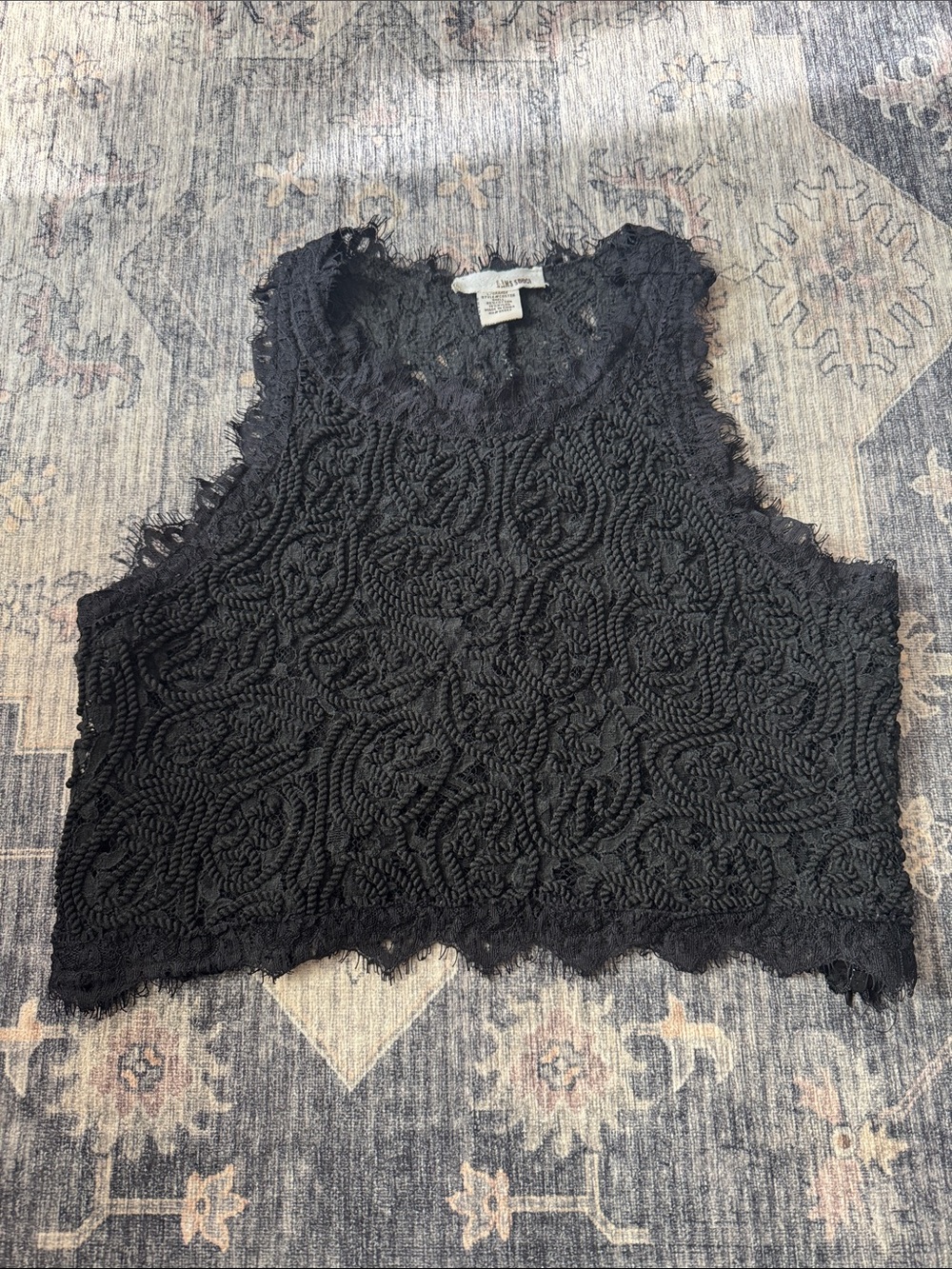 Sans Souci Black Crochet Lace Sleeveless Crop Top